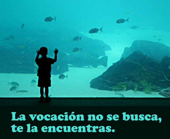 La vocación no se busca, te la encuentras