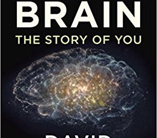 Portada del libro "The Brain: The Story of You" de David Eagleman