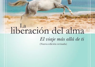 Portada del libro "La liberación del alma. El viaje más allá de ti" de Michael A. Singer